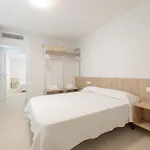 Vora דירה